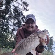  ,   Olek, 35 ,   ,   