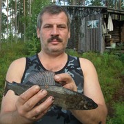  ,   , 64 ,  