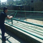  ,   Shuhrat, 29 ,   