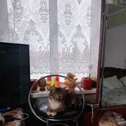  ,   , 28 ,     , c 