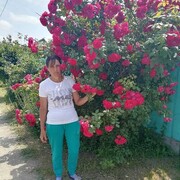 ���������� ���������, ���� ������� ���, 38 ���, ������������ ��� ����� � ���������, ���������