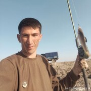 ���������� ������, ������� ����, 31