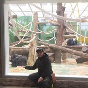 ���������� ������, ���� ������� ����������, 40 ���, ������������ ��� c�������� ���������