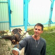  ,   , 50 ,   ,   , c 