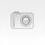 ���������� ����, ���� ������� ��������, 41 ���, ������������ ��� ������