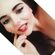 ���������� �����, ������� ������, 28