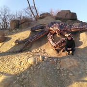 ���������� �����������, ���� ������� ����, 34 ����, ������������ ��� ������, ����� � ���������, c�������� ���������