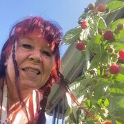 ���������� �����������, ���� ������� �����, 74 ����, ������������ ��� c�������� ���������, ���������