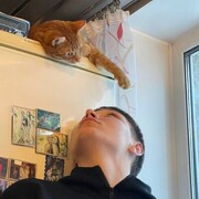 ���������� �����-���������, ���� ����� ������, 21 ���, ������������ ��� ������, ����� � ���������