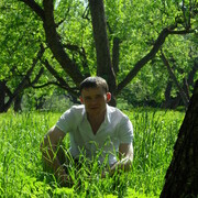 ���������� ������, ���� ������� ����������, 41 ���, ������������ ��� ������, ����� � ���������