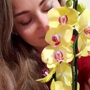 ,   ria, 43 ,   