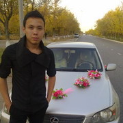  ,   87013664488, 32 ,     , c 