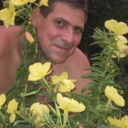 ,   , 55 ,   