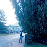 ���������� ������, ���� ������� ������, 41 ���, ������������ ��� ������, ����� � ���������