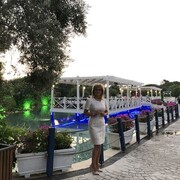 ���������� ������, ���� ������� �������, 38 ���, ������������ ��� ������, ����� � ���������, c�������� ���������