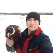 ���������� �����, ���� ������� ������, 37 ���, ������������ ��� ������, ����� � ���������