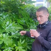 ���������� ����, ���� ������� �����, 38 ���, ������������ ��� ������, ����� � ���������