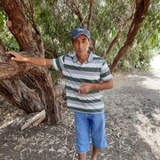  Limassol,   , 60 ,   ,   