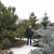 ���������� ����, ���� ������� �����, 42 ����, ������������ ��� ������, ����� � ���������, c�������� ���������