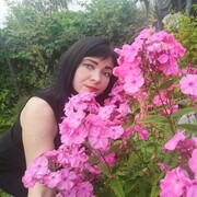 ���������� �����������, ���� ������� ����������, 40 ���, ������������ ��� c�������� ���������