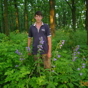 ���������� ������, ���� ������� ���������, 55 ���, ������������ ��� ����� � ���������, c�������� ���������