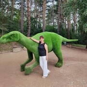 ���������� ������������, ���� ������� �����, 55 ���, ������������ ��� ������, ����� � ���������, c�������� ���������