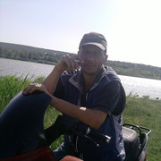  ,   , 53 ,   