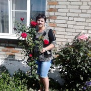  ,   Sv, 55 ,  