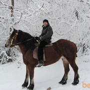 ���������� ���������, ���� ������� ������, 46 ���, ������������ ��� ������