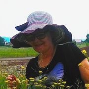  -,   , 62 ,     , c 