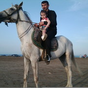  ,   POLAD, 46 ,     , c 