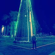 ���������� ������, ���� ������� ������, 29 ���, ������������ ��� ������, ����� � ���������