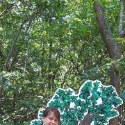  ,   , 58 ,   c 