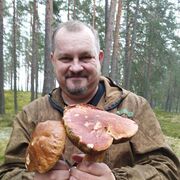 ���������� ������������, ���� ������� ����, 54 ����, ������������ ��� ����� � ���������, c�������� ���������, ���������