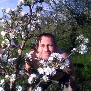 ���������� �������, ���� ������� ����, 49 ���, ������������ ��� c�������� ���������