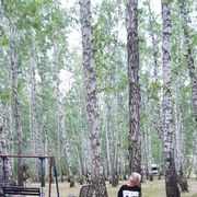 ���������� ���������, ���� ������� ����, 53 ����, ������������ ��� ������, ����� � ���������