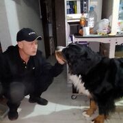 ���������� �������������, ���� ������� ����, 43 ����, ������������ ��� ������, ����� � ���������, c�������� ���������, ���������