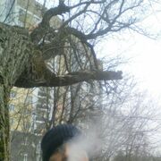 ���������� �����������, ���� ������� �������, 40 ���, ������������ ��� c�������� ���������