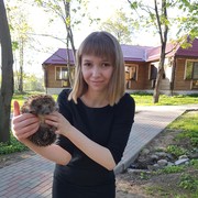  ,   , 28 ,   ,   , c 