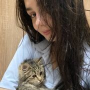 ���������� �����������, ���� ������� ���, 23 ����, ������������ ��� ����� � ���������, c�������� ���������, ���������