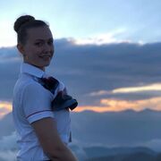 ���������� ������, ���� ������� �������, 29 ���, ������������ ��� ������, ����� � ���������, c�������� ���������