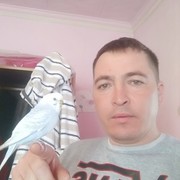  ,   Shamil, 40 ,   ,   , c 