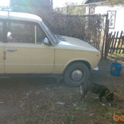 ���������� �����, ���� ������� Sergei, 37 ���, ������������ ��� ����� � ���������, c�������� ���������