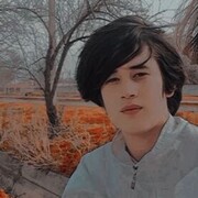  ,   Daler, 20 ,   ,   