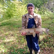  ,   , 49 ,  