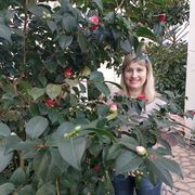 ���������� ��������, ���� ������� �������, 44 ����, ������������ ��� ����� � ���������, c�������� ���������