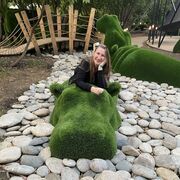 ���������� ������, ���� ������� ���������, 33 ����, ������������ ��� ������, ����� � ���������, c�������� ���������