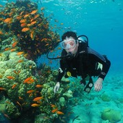 ���������� ������������, ���� ������� �������, 49 ���, ������������ ��� ������, ����� � ���������, c�������� ���������