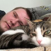 ���������� �����-���������, ���� ������� �����, 31 ���, ������������ ��� ������, ����� � ���������, ���������