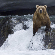 ���������� ������������, ���� ������� Eduard, 44 ����, ������������ ��� ������, ����� � ���������, c�������� ���������, ���������